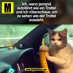 Ich, wenn jemand
autofährt wie ein Trottel
und ich rüberschaue, um
zu sehen wie der Trottel
aussieht.
(BILD)