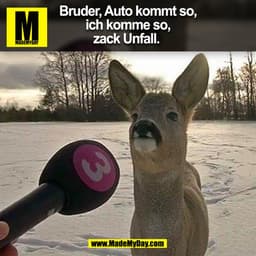 Bruder, Auto kommt so,
ich komme so,
zack Unfall.
(BILD)