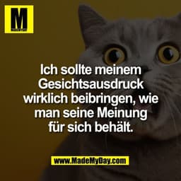 Ich sollte meinem
Gesichtsausdruck
wirklich beibringen, wie
man seine Meinung
für sich behält.