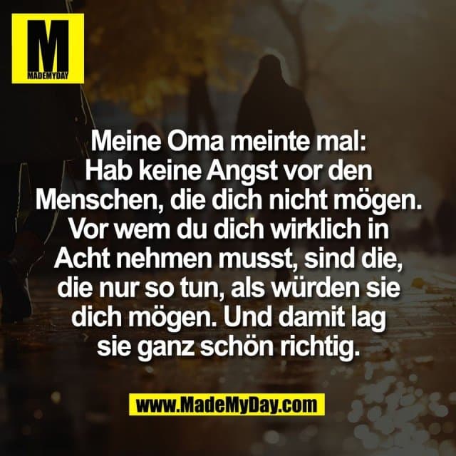 Meine Oma meinte mal:
Hab keine Angst vor den
Menschen, die dich nicht mögen.
Vor wem du dich wirklich in
Acht nehmen musst, sind die,
die nur so tun, als würden sie
dich mögen. Und damit lag
sie ganz schön richtig. - Inspiration, Zitate & Sprüche | MadeMyDay | Jetzt entdecken & teilen Meine Oma meinte mal:
Hab keine Angst vor den
Menschen, die dich nicht mögen.
Vor wem du dich wirklich in
Acht nehmen musst, sind die,
die nur so tun, als würden sie
dich mögen. Und damit lag
sie ganz schön richtig. - Inspirierendes Zitat mit Bild