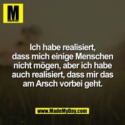 Ich habe realisiert,
dass mich einige Menschen
nicht mögen, aber ich habe
auch realisiert, dass mir das
am Arsch vorbei