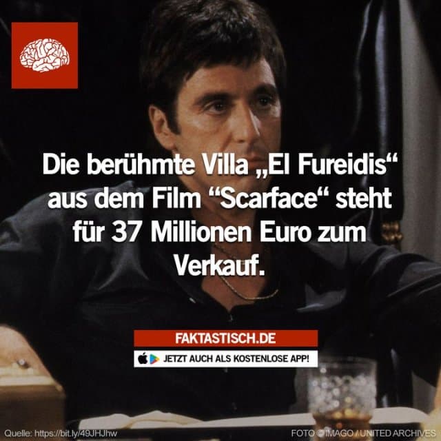 Als das Zuhause von Tony Montana (gespielt von Al Pacino) im Film „Scarface“ erlangte die Luxusvilla weltweile Berühmtheit 🏠 📲 Mehr Fakten gibt es in unserer kostenlosen App (Download im App Store oder Play Store) - Inspiration, Zitate & Sprüche | MadeMyDay | Jetzt entdecken & teilen Als das Zuhause von Tony Montana (gespielt von Al Pacino) im Film „Scarface“ erlangte die Luxusvilla weltweile Berühmtheit 🏠 📲 Mehr Fakten gibt es in unserer kostenlosen App (Download im App Store oder Play Store) - Inspirierendes Zitat mit Bild