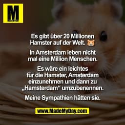 Es gibt über 20 Millionen
Hamster auf der Welt. 🐹
In Amsterdam leben nicht
mal eine Million Menschen.
Es wäre ein le