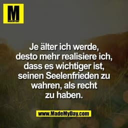 Je älter ich werde,
desto mehr realisiere ich,
dass es wichtiger ist,
seinen Seelenfrieden zu
wahren, als recht
zu haben