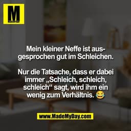 Mein kleiner Neffe ist aus-
gesprochen gut im Schleichen.
Nur die Tatsache, dass er dabei
immer „Schleich, schleich,
sc