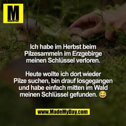 Ich habe im Herbst beim
Pilzesammeln im Erzgebirge
meinen Schlüssel verloren.
Heute wollte ich dort wieder
Pilze suchen