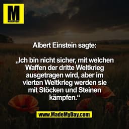 Albert Einstein sagte:
„Ich bin nicht sicher, mit welchen
Waffen der dritte Weltkrieg
ausgetragen wird, aber im
vierten