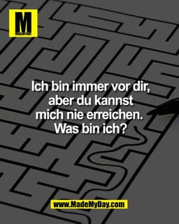 MIch bin immer vor dir,
aber du kannst
mich nie erreichen.
Was bin ich?