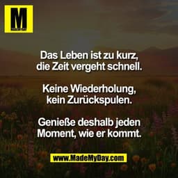 Das Leben ist zu kurz,
die Zeit vergeht schnell.
Keine Wiederholung,
kein Zurückspulen.
Genieße deshalb jeden
Moment,