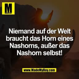 Niemand auf der Welt
braucht das Horn eines
Nashorns, außer das
Nashorn selbst!