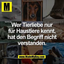 Wer Tierliebe nur
für Haustiere kennt,
hat den Begriff nicht
verstanden.