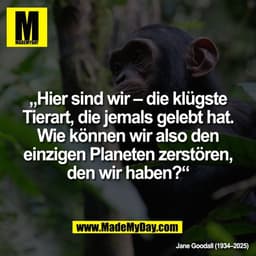 „Hier sind wir – die klügste
Tierart, die jemals gelebt hat.
Wie können wir also den
einzigen Planeten zerstören,
den wi