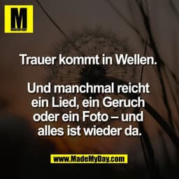 Trauer kommt in Wellen.
Und manchmal reicht
ein Lied, ein Geruch
oder ein Foto – und
alles ist wieder da.