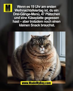 Wenn es 19 Uhr am ersten
Weihnachtsfeiertag ist, du ein
Drei-Gänge-Menü, 47 Plätzchen
und eine Käseplatte gegessen
h