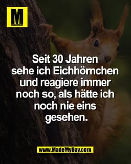 Seit 30 Jahren
sehe ich Eichhörnchen
und reagiere immer
noch so, als hätte ich
noch nie eins
gesehen.