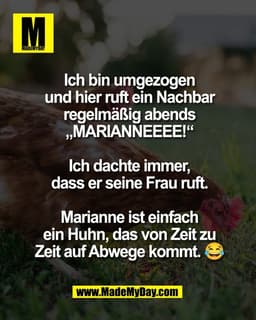 Ich bin umgezogen
und hier ruft ein Nachbar
regelmäßig abends
„MARIANNEEEE!“
Ich dachte immer,
dass er seine Frau ruft.