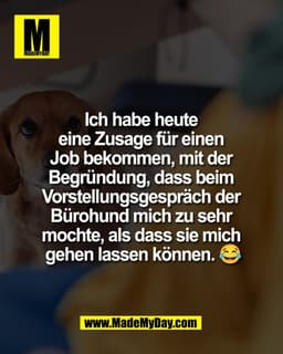 Ich habe heute
eine Zusage für einen
Job bekommen, mit der
Begründung, dass beim
Vorstellungsgespräch der
Bürohund
