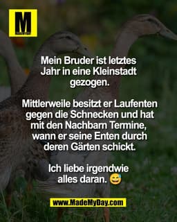 Mein Bruder ist letztes
Jahr in eine Kleinstadt
gezogen.
Mittlerweile besitzt er Laufenten
gegen die Schnecken und ha