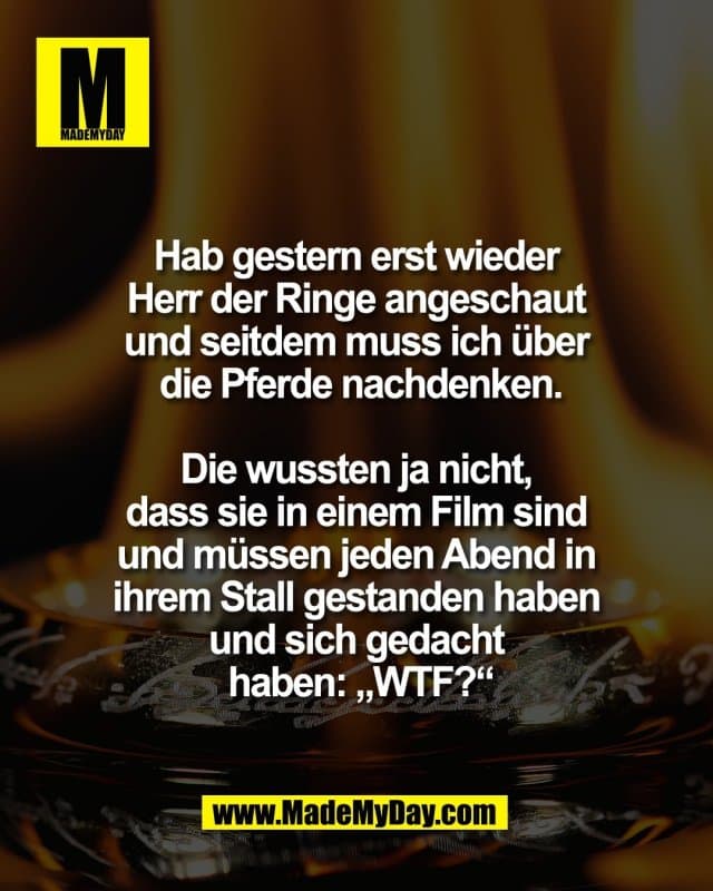 Hab gestern erst wieder
Herr der Ringe angeschaut
und seitdem muss ich über
die Pferde nachdenken.
Die wussten ja nicht,
dass sie in einem Film sind
und müssen jeden Abend in
ihrem Stall gestanden haben
und sich gedacht
haben: „WTF?“ - Inspiration, Zitate & Sprüche | MadeMyDay | Jetzt entdecken & teilen Hab gestern erst wieder
Herr der Ringe angeschaut
und seitdem muss ich über
die Pferde nachdenken.
Die wussten ja nicht,
dass sie in einem Film sind
und müssen jeden Abend in
ihrem Stall gestanden haben
und sich gedacht
haben: „WTF?“ - Inspirierendes Zitat mit Bild