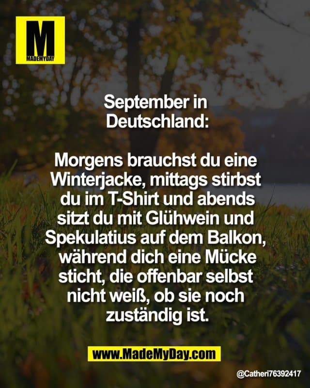 September in
Deutschland:
Morgens brauchst du eine
Winterjacke, mittags stirbst
du im T-Shirt und abends
sitzt du mit Glühwein und
Spekulatius auf dem Balkon,
während dich eine Mücke
sticht, die offenbar selbst
nicht weiß, ob sie noch
zuständig ist. - Inspiration, Zitate & Sprüche | MadeMyDay | Jetzt entdecken & teilen September in
Deutschland:
Morgens brauchst du eine
Winterjacke, mittags stirbst
du im T-Shirt und abends
sitzt du mit Glühwein und
Spekulatius auf dem Balkon,
während dich eine Mücke
sticht, die offenbar selbst
nicht weiß, ob sie noch
zuständig ist. - Inspirierendes Zitat mit Bild