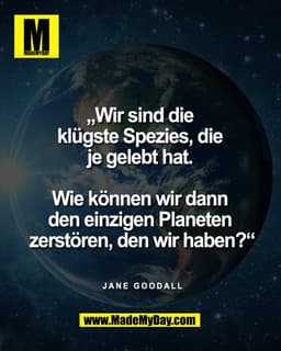 „Wir sind die
klügste Spezies, die
je gelebt hat.
Wie können wir dann
den einzigen Planeten
zerstören, den wir hab